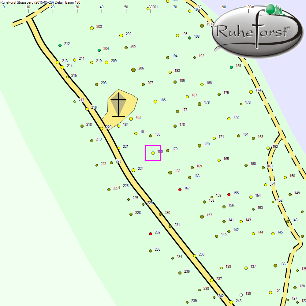 Detailkarte zu Baum 180