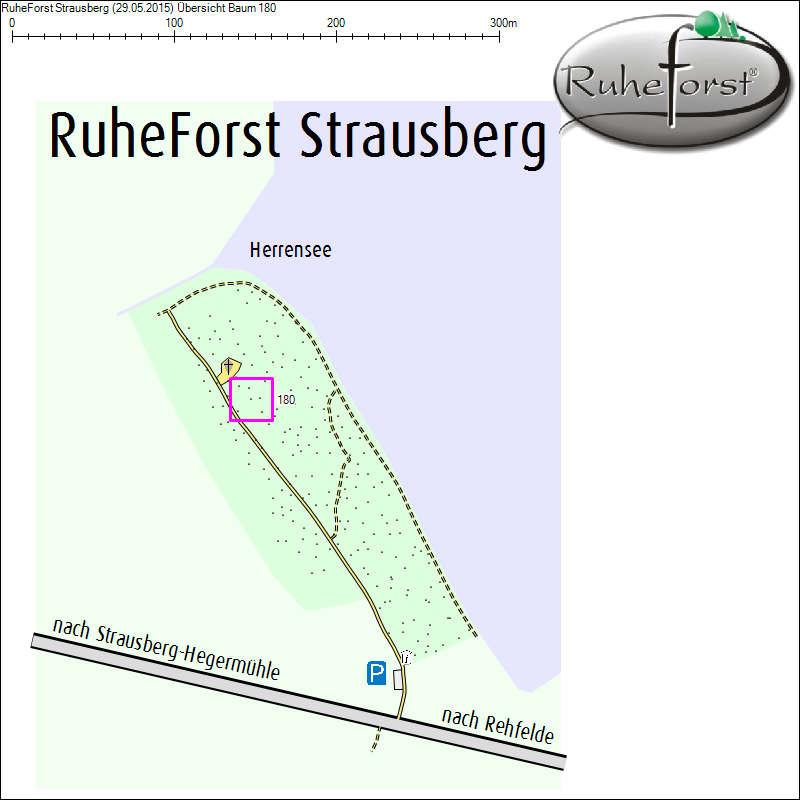 &Uuml;bersichtskarte zu Baum 180