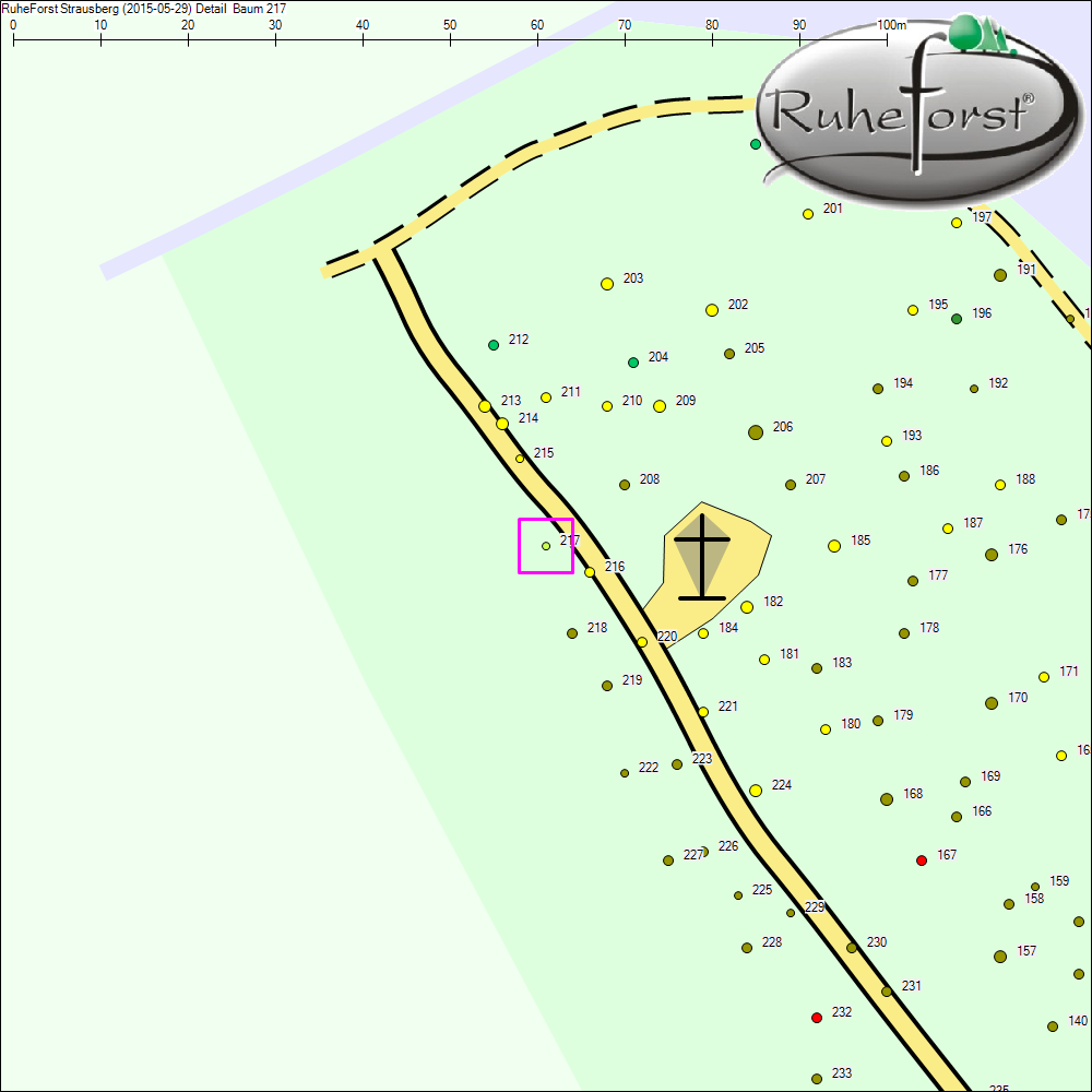 Detailkarte zu Baum 217