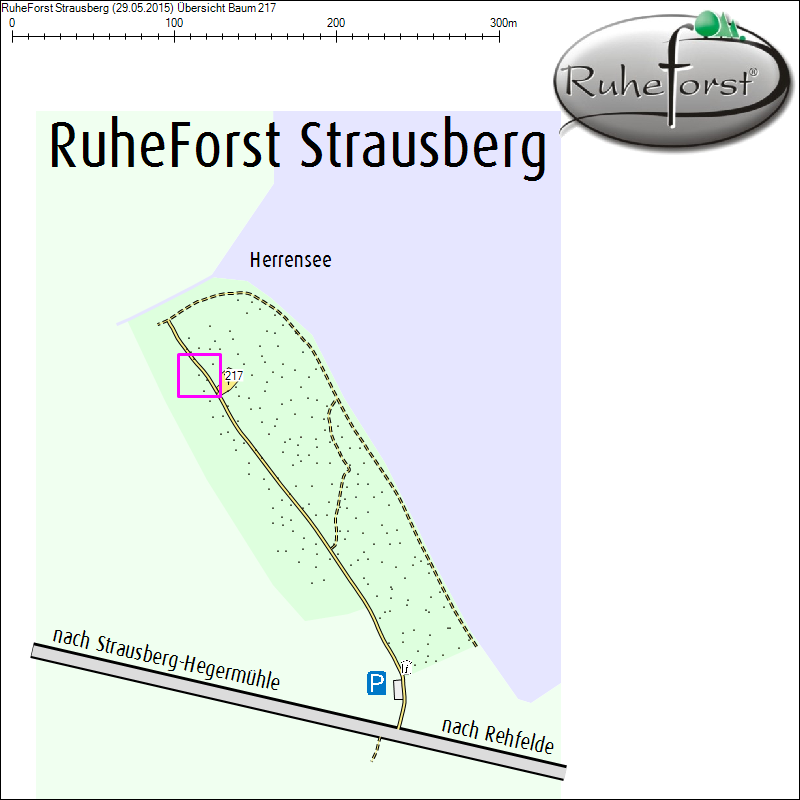 &Uuml;bersichtskarte zu Baum 217