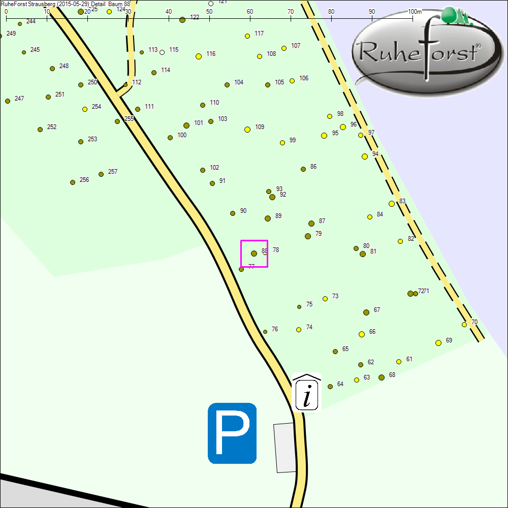 Detailkarte zu Baum 88