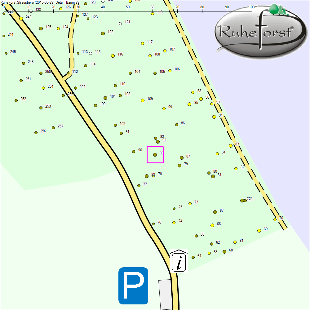 Detailkarte zu Baum 89